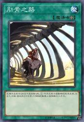 肋骨之路