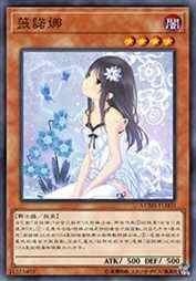 薇诺娜