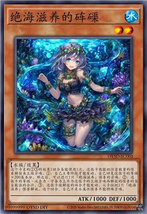 绝海滋养的砗磲