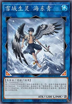 雪域生灵 海东青