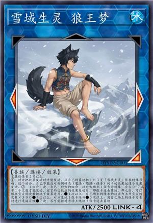 雪域生灵 狼王梦