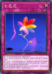 花型镜·七色