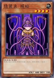 隐匿虫 蜈蚣