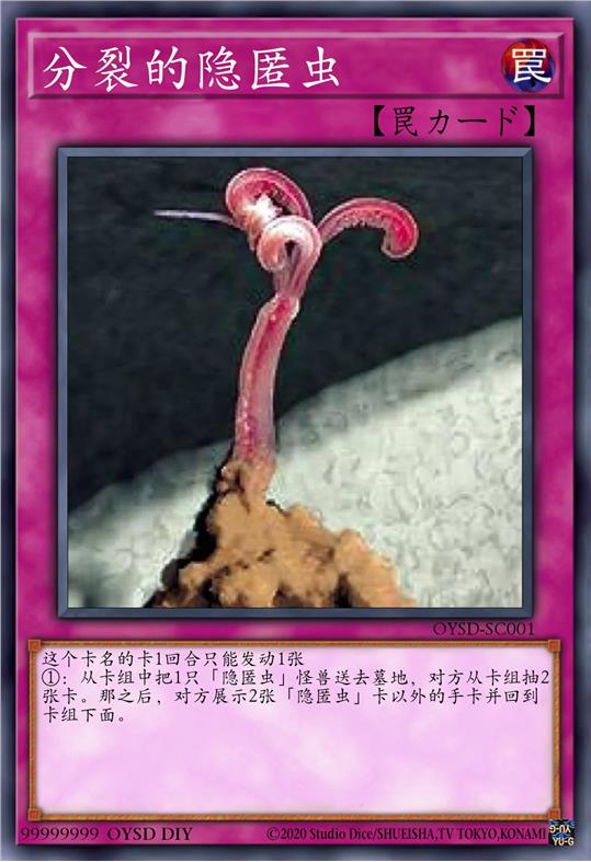 分裂的隐匿虫