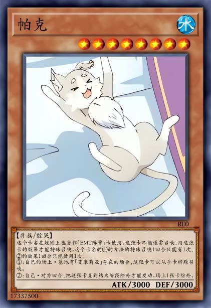 帕克