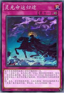 灵光命运归途