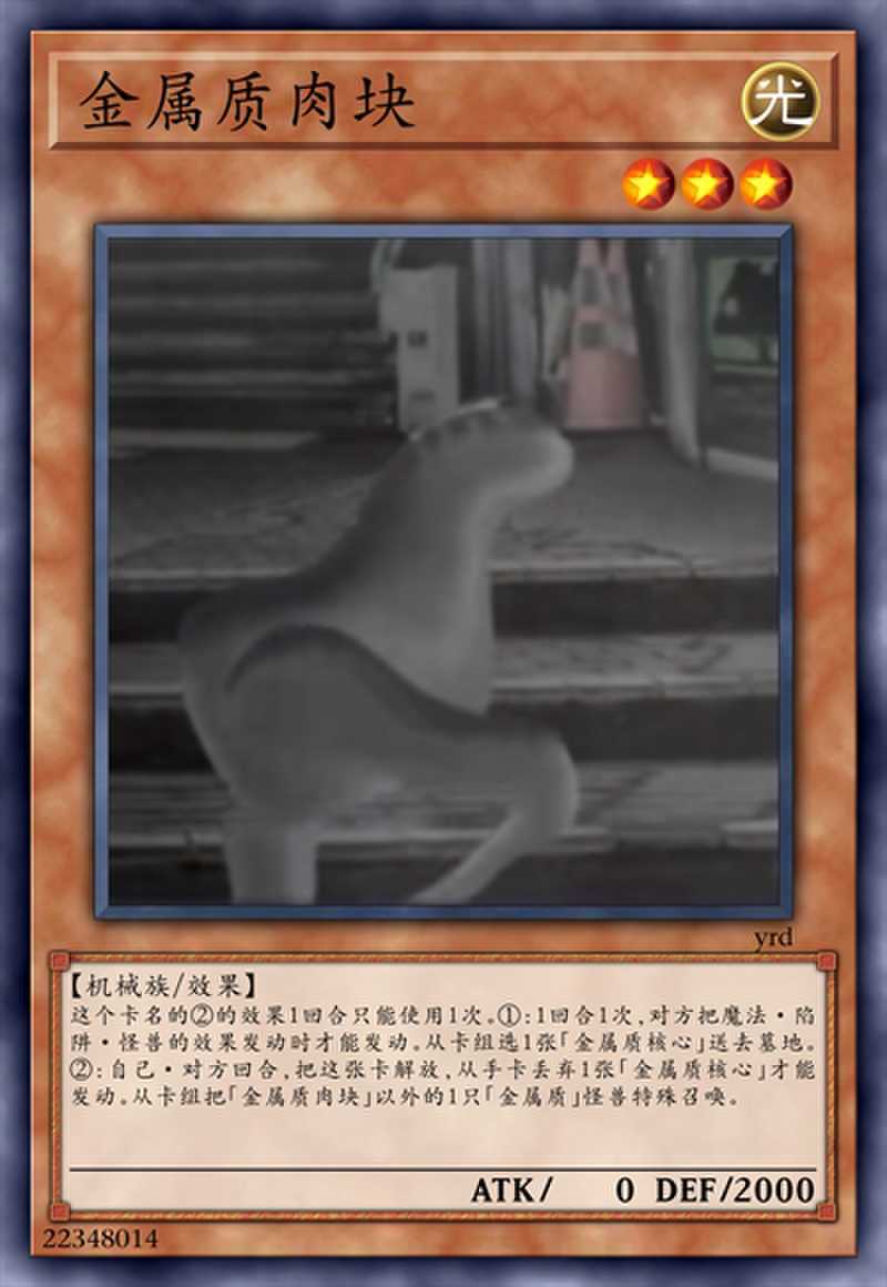 金属质肉块