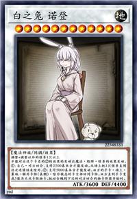 白之兔 诺登