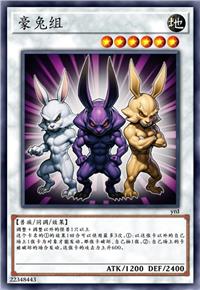 豪兔组