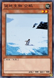 诞地生物 企鹅