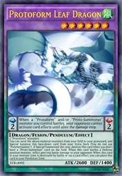 Protoform 叶龙