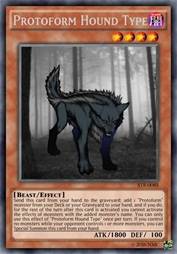 Protoform 猎犬