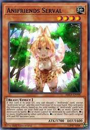 动物朋友 薮猫