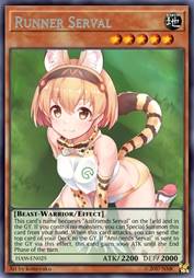 JRA薮猫