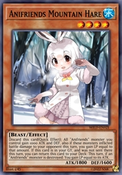 动物朋友 雪兔