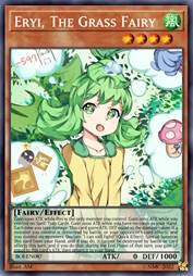 草精 Eryi