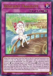 脆弱的坚强