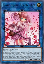 Rosa rugosa Thunb.-茶会