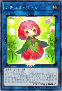 自然花蕾