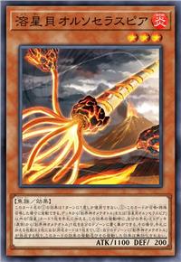 溶星贝 长枪直角石