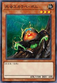 兵虫 爆弹圣甲虫