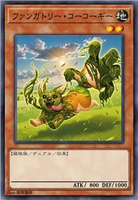菌树柯柯基