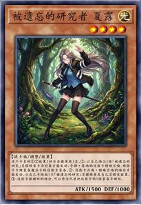 被遗忘的研究者 夏露