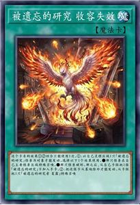 被遗忘的研究 收容失效