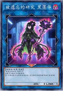 被遗忘的研究 黑莲华