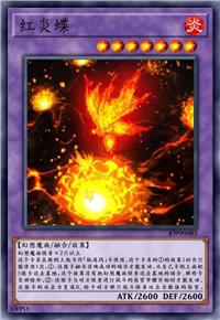 红炎蝶