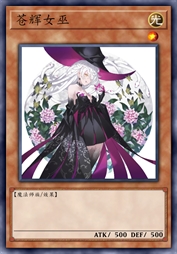 苍辉女巫