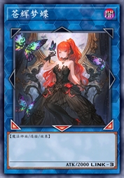 苍辉梦蝶