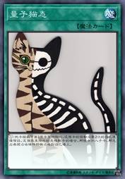 量子猫态