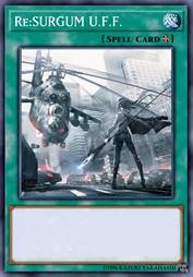 Re:SURGUM 面对于它