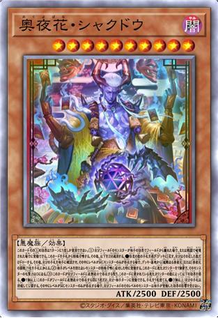 奥夜花·释藤