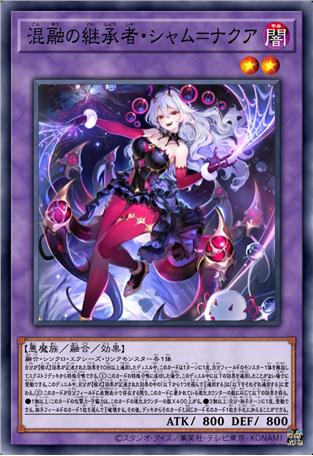 混融的继承者·莎木·纳克雅