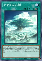 那塔拉的大树