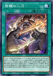 宿愿的双剑
