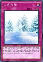 白色相册