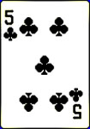 梅花5