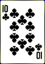 梅花10