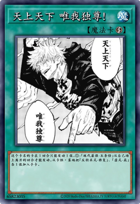天上天下 唯我独尊！