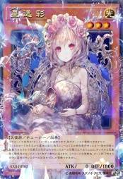 星逸彩