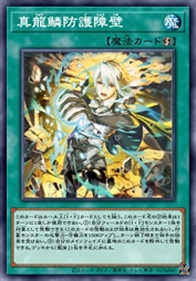 真龙鳞防护障壁