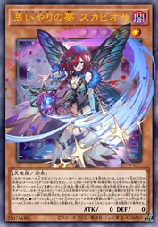 关怀之梦 史塔尔莲华