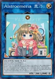 Alstroemeria 鹿乃