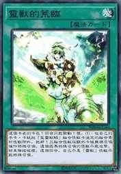 灵兽的荒临