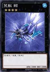 荒兽 鳏