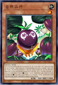 自然山竹