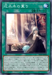花水木之芬芳